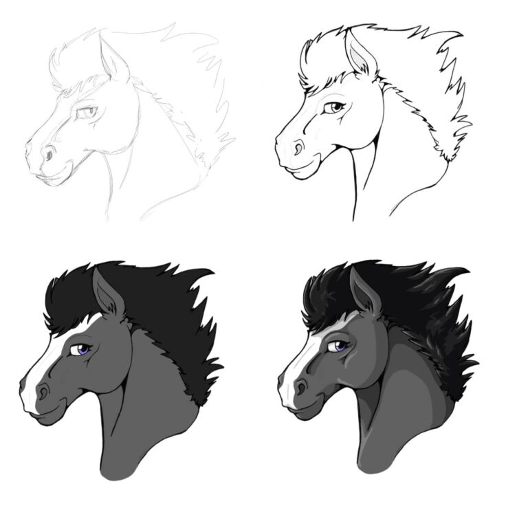 An illustration of a horse's head in four stages of completion: Sketch, linework, flat colour, and with shading.
